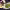 https://res.cloudinary.com/billionhands/image/upload/v1770833984/items/huv27nae9tapgaxs0yey.jpg-0cover