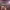 https://res.cloudinary.com/billionhands/image/upload/v1770834055/items/s3kw4bup0lasc5vusga6.jpg-3cover