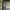https://res.cloudinary.com/billionhands/image/upload/v1770834068/items/zpz2lqxmlq0sqaqz7jiy.jpg-1cover