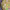 https://res.cloudinary.com/billionhands/image/upload/v1770834069/items/nmxeuonnflcshjakthmj.jpg-2cover