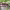https://res.cloudinary.com/billionhands/image/upload/v1770834074/items/bpcqvkwmtrrmidma6kou.png-3cover