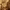 https://res.cloudinary.com/billionhands/image/upload/v1770834095/items/pffvss48oaiv3g4i0etz.jpg-1cover