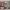 https://res.cloudinary.com/billionhands/image/upload/v1770834137/items/brlyr7jg9jyovagz221z.jpg-0cover