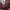 https://res.cloudinary.com/billionhands/image/upload/v1770834150/items/ayxz08iwiqur4nd4rmbl.jpg-0cover