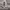 https://res.cloudinary.com/billionhands/image/upload/v1770834153/items/bkbn46w4qn0rr5zg2n6v.webp-2cover