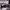 https://res.cloudinary.com/billionhands/image/upload/v1770834159/items/p9nwg9nl5fbev0xatro2.jpg-1cover