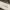 https://res.cloudinary.com/billionhands/image/upload/v1770834164/items/yczgk3fvan7iw0kwxyhz.webp-1cover