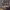 https://res.cloudinary.com/billionhands/image/upload/v1770834168/items/sxb3e6weunhbtwdlbwuq.jpg-2cover