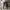 https://res.cloudinary.com/billionhands/image/upload/v1770834182/items/owmchmm5juopbexeaihv.jpg-0cover