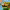 https://res.cloudinary.com/billionhands/image/upload/v1770834202/items/mjwxc15bsiircvx53bge.jpg-3cover
