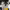 https://res.cloudinary.com/billionhands/image/upload/v1770834211/items/jodxeh0fi42eto5d5cuz.jpg-0cover