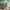 https://res.cloudinary.com/billionhands/image/upload/v1770834218/items/o3ulkur3zodnd9grsshg.jpg-2cover