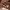 https://res.cloudinary.com/billionhands/image/upload/v1770834220/items/yzknmuu7g9xgzvkogotx.jpg-3cover