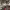 https://res.cloudinary.com/billionhands/image/upload/v1770834242/items/gvxlrgxkc0zgptb3hg0f.webp-2cover
