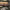 https://res.cloudinary.com/billionhands/image/upload/v1770835310/items/tldhgcn0iy93xhp9ykxj.jpg-2cover
