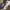 https://res.cloudinary.com/billionhands/image/upload/v1770881267/items/xlsibercrt2nwqifptbg.webp-2cover
