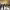 https://res.cloudinary.com/billionhands/image/upload/v1770881268/items/ilgkiffxkcu7ppi4eosv.webp-1cover