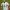 https://res.cloudinary.com/billionhands/image/upload/v1770967681/items/ml2ojxqmtldwz5eirydx.jpg-1cover