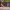 https://res.cloudinary.com/billionhands/image/upload/v1770967701/items/l6yqevggeikgq9eg1ddu.jpg-2cover