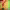 https://res.cloudinary.com/billionhands/image/upload/v1770971293/items/vbsypydrufhcfipdrol7.jpg-1cover