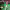 Gol de Pablo Fornals (Real Betis) cover