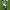 Goal by Hugo Duro (Valencia CF) cover