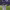 https://res.cloudinary.com/billionhands/image/upload/v1771140406/items/osersx06hgefjyfsvzc7.jpg-2cover