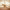 Festents (Glamping Village Area, Benicàssim) cover