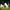 https://res.cloudinary.com/billionhands/image/upload/v1771140412/items/fkqbk1ucxgbdzrd6tdqw.jpg-0cover