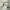 Apartamentos 3000 (Benicàssim) cover