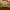 https://res.cloudinary.com/billionhands/image/upload/v1771144570/items/leoyic9grrtdwlanvgqd.png-0cover
