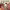 Libros para colorear virales de TikTok (Coco Wyo) cover