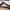 https://res.cloudinary.com/billionhands/image/upload/v1771233844/items/lbxdzmbaevampeu67znw.webp-0cover