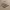 https://res.cloudinary.com/billionhands/image/upload/v1771237646/items/dsce1qc0wtvnaiib15yg.webp-2cover