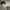 https://res.cloudinary.com/billionhands/image/upload/v1771237646/items/lk49cqsi0u2dxl8v8tii.jpg-2cover