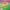 https://res.cloudinary.com/billionhands/image/upload/v1771246251/items/hhioir9ka0m9pgahkuo0.jpg-2cover