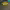 https://res.cloudinary.com/billionhands/image/upload/v1771246304/items/ao2h7yscywjx27maola0.jpg-2cover
