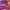 https://res.cloudinary.com/billionhands/image/upload/v1771246311/items/ecznbg6spzqesmmfi545.png-3cover