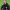https://res.cloudinary.com/billionhands/image/upload/v1771246353/items/oomvqo2roxnmpgicz19x.jpg-2cover