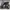 https://res.cloudinary.com/billionhands/image/upload/v1771246360/items/wz8ulrawg0dt6tsmckgi.jpg-2cover