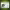 https://res.cloudinary.com/billionhands/image/upload/v1771246366/items/yq84vsaivapvumlxxqwz.jpg-3cover