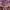 https://res.cloudinary.com/billionhands/image/upload/v1771246503/items/itxjgrz1uka9izgb2cae.webp-2cover