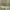 https://res.cloudinary.com/billionhands/image/upload/v1771246519/items/tpa5ushqdpfq8i0vdqjy.jpg-1cover