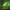 https://res.cloudinary.com/billionhands/image/upload/v1771246525/items/cl23iurgrpf4urytni5z.png-2cover