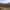 https://res.cloudinary.com/billionhands/image/upload/v1771246525/items/o9xrbb51ufhworhds3o0.jpg-2cover