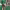 https://res.cloudinary.com/billionhands/image/upload/v1771246588/items/eropwah75cekp4bkfix0.jpg-2cover