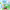 https://res.cloudinary.com/billionhands/image/upload/v1771260942/items/ogpw1yfytkpasn9jk15a.jpg-1cover