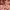 https://res.cloudinary.com/billionhands/image/upload/v1771261804/items/xlhfnqbmdjhjvcdaloqj.webp-2cover