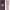 https://res.cloudinary.com/billionhands/image/upload/v1771261817/items/rzzbwflrjkupzaydvovs.jpg-1cover