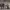 https://res.cloudinary.com/billionhands/image/upload/v1771326990/items/hndfqoyan3k9om0rrmlq.jpg-2cover